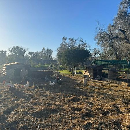 Tenuta Calitre Melendugno Bagian luar foto