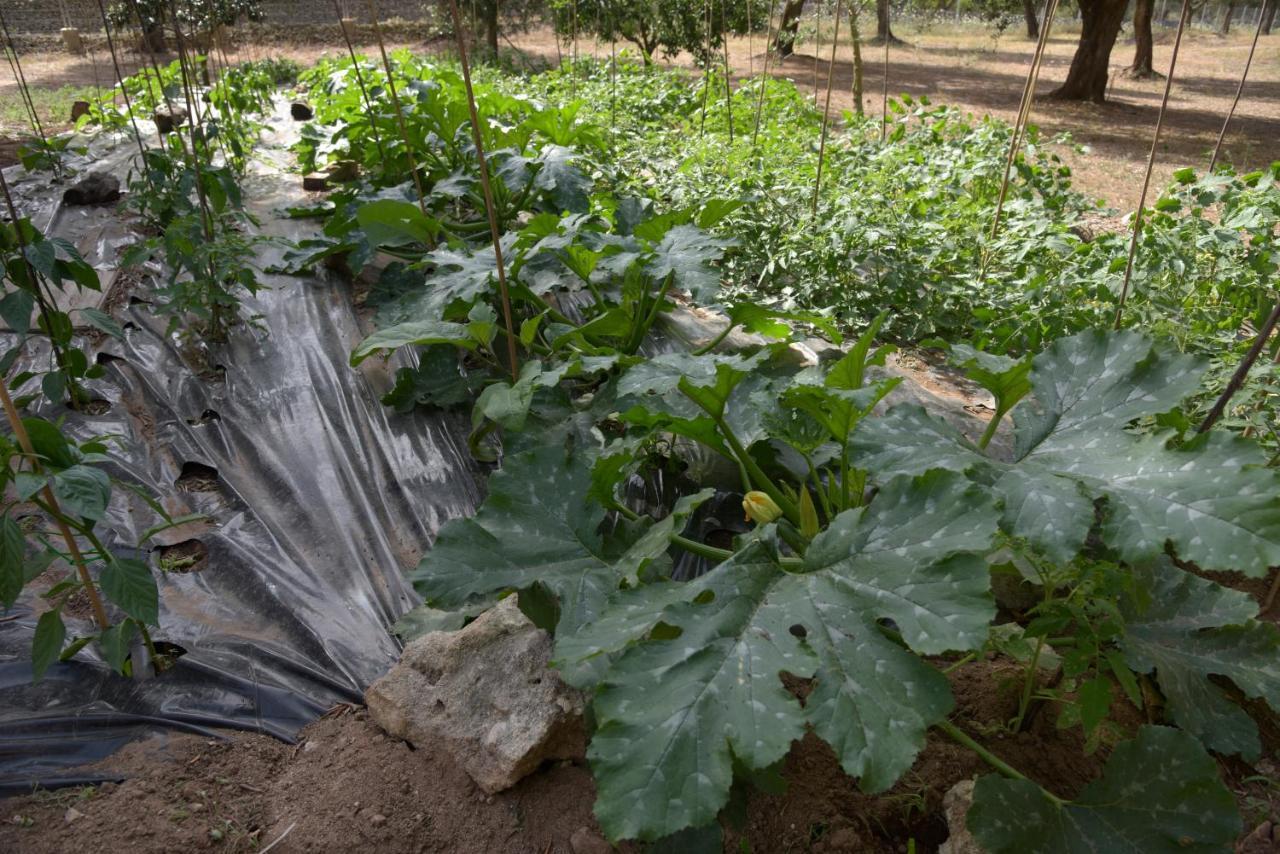 Tenuta Calitre Melendugno Bagian luar foto