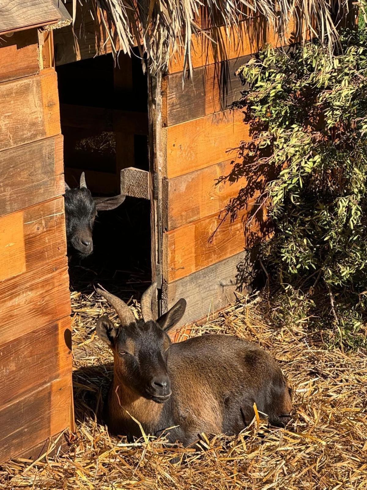 Tenuta Calitre Melendugno Bagian luar foto