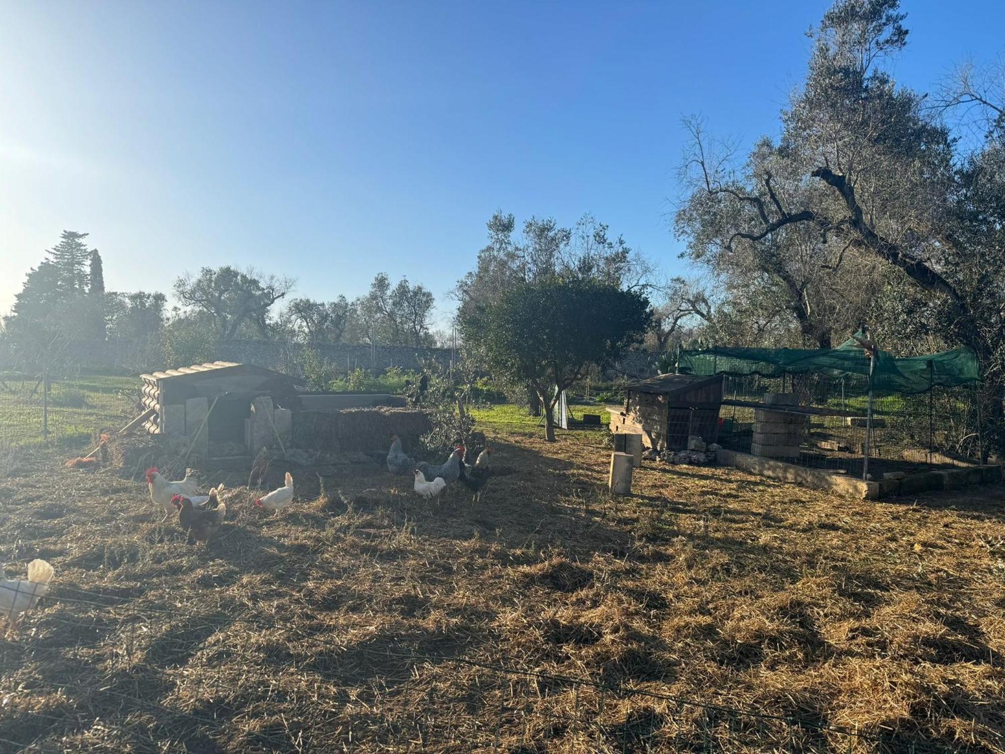 Tenuta Calitre Melendugno Bagian luar foto