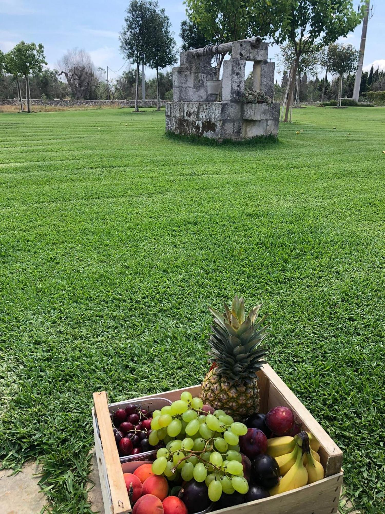 Tenuta Calitre Melendugno Bagian luar foto